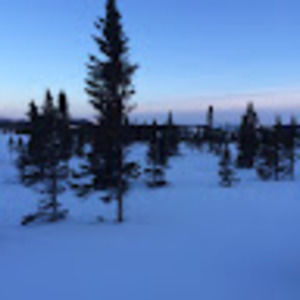 Meet your Posher, Nadia